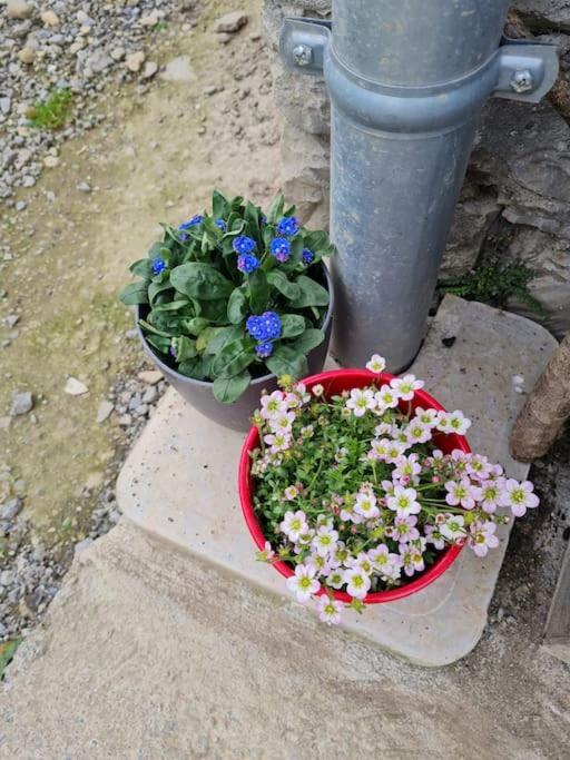 Appartement De La Laiterie Avec Petit Jardin. Eysus Esterno foto